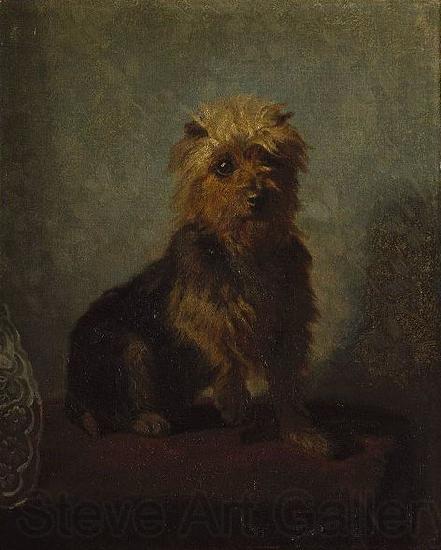 Abbott Handerson Thayer Chadwick's Dog Spain oil painting art